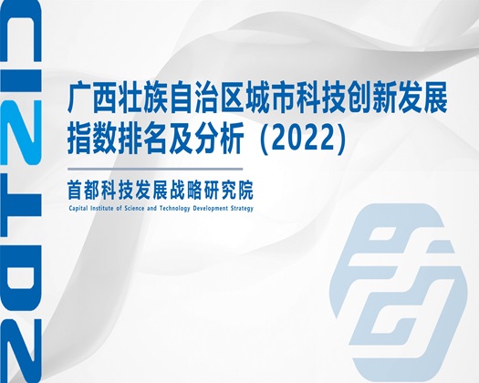 日皮视频啪啪啪【成果发布】广西壮族自治区城市科技创新发展指数排名及分析（2022）